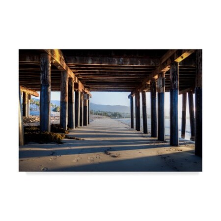 Trademark Fine Art Under Stears by Chris Moyer, 30x47-Inch Fine Art, Multicolor